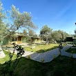 Balım Butik Hotel & Bungalows