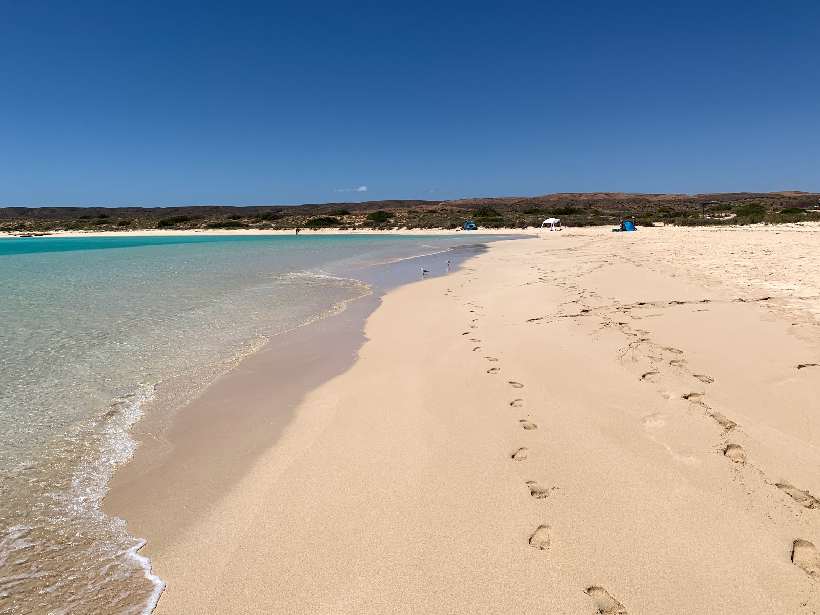 Foto af Sandy Bay med lys fint sand overflade