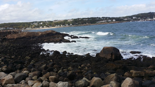 Canoe & Kayak Tour Agency «North Shore Kayak Outdoor Center», reviews and photos, 9 Tuna Wharf Rd, Rockport, MA 01966, USA