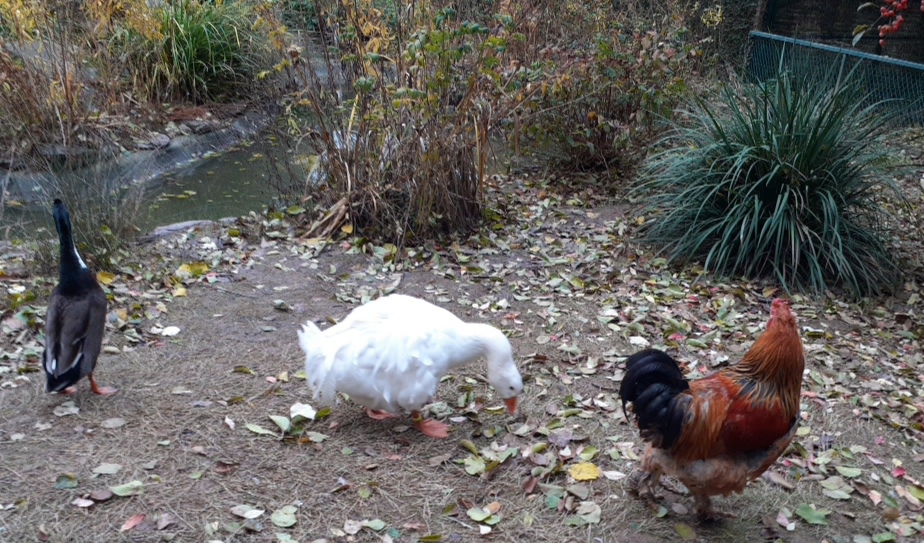 Photo n° 13 de l'avis de Doume. fait le 13/12/2019 à 18:34