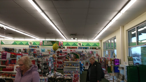 Dollar Store «Dollar Tree», reviews and photos, 8411 Windfall Ln #40, Camby, IN 46113, USA