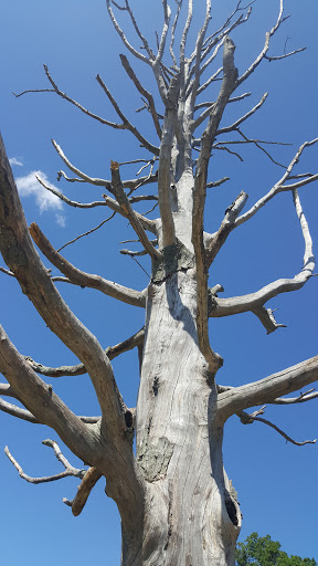 Park «Kennedy Park», reviews and photos, S Main St, Fall River, MA 02724, USA