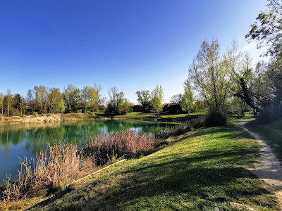 Lac de la Tuilerie à Saint-Jean