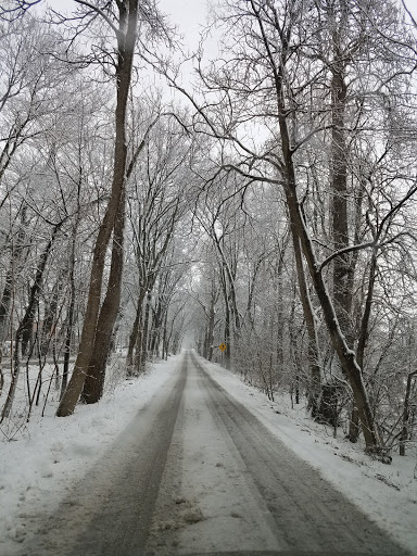 Community Center «Eagle Heights Community Center», reviews and photos, 611 Eagle Heights Dr, Madison, WI 53705, USA