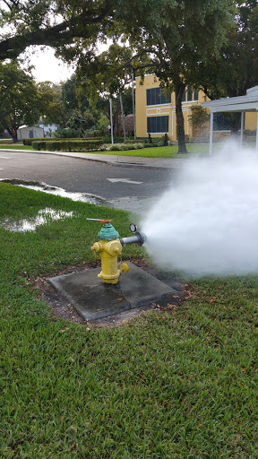 Museum «Old Davie School Historical Museum», reviews and photos, 6650 Griffin Rd, Davie, FL 33314, USA