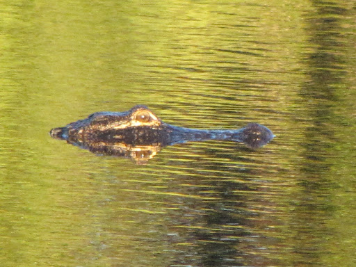 Golf Club «Riverside Club Golf & Marina Community», reviews and photos, 2550 Pier Dr, Ruskin, FL 33570, USA