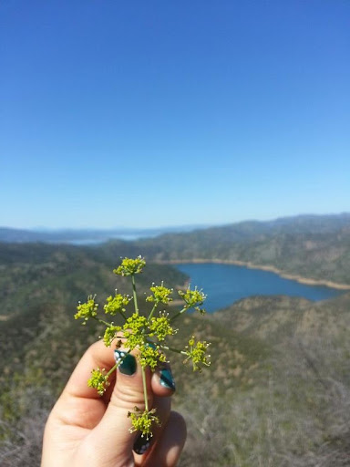 Nature Preserve «UC Davis - Stebbins Cold Canyon Natural Reserve», reviews and photos, CA-128, Winters, CA 95694, USA