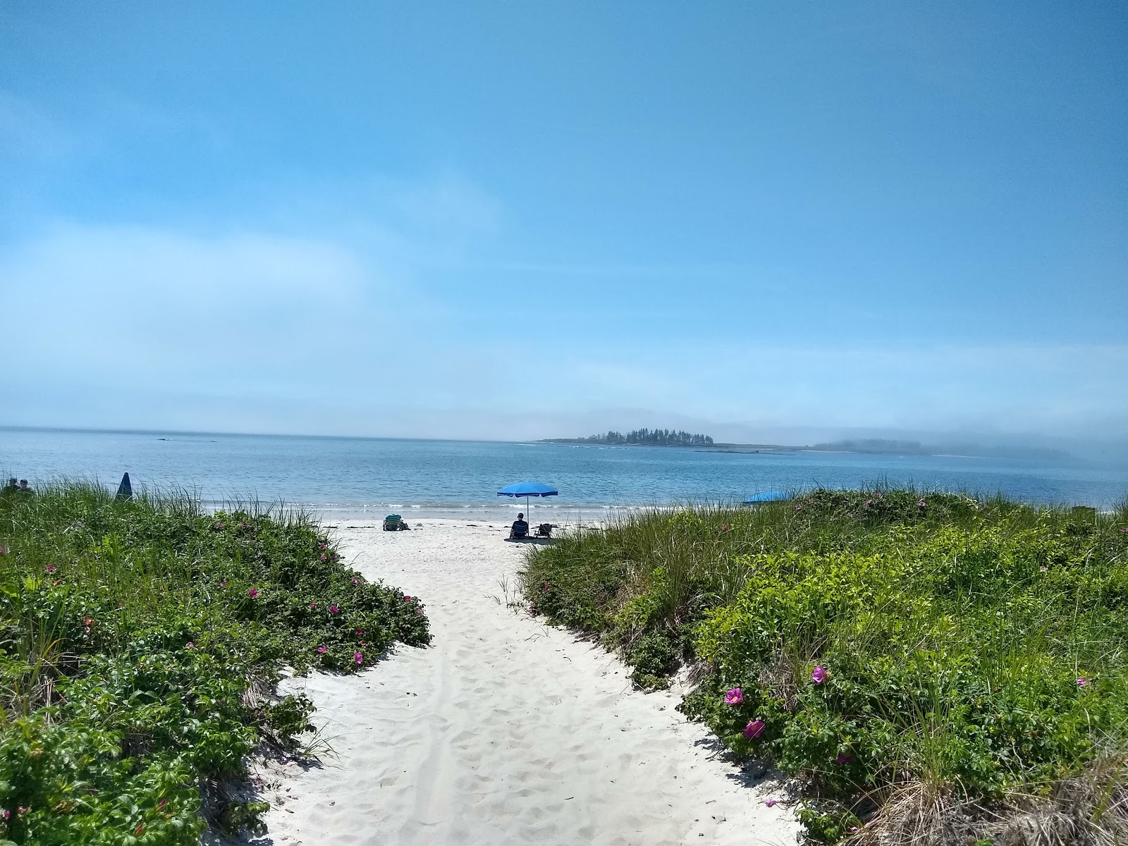 Foto van Crescent beach - populaire plek onder ontspanningskenners