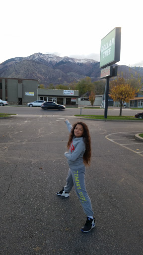 Dollar Store «Dollar Tree», reviews and photos, 3225 Washington Blvd a, Ogden, UT 84401, USA