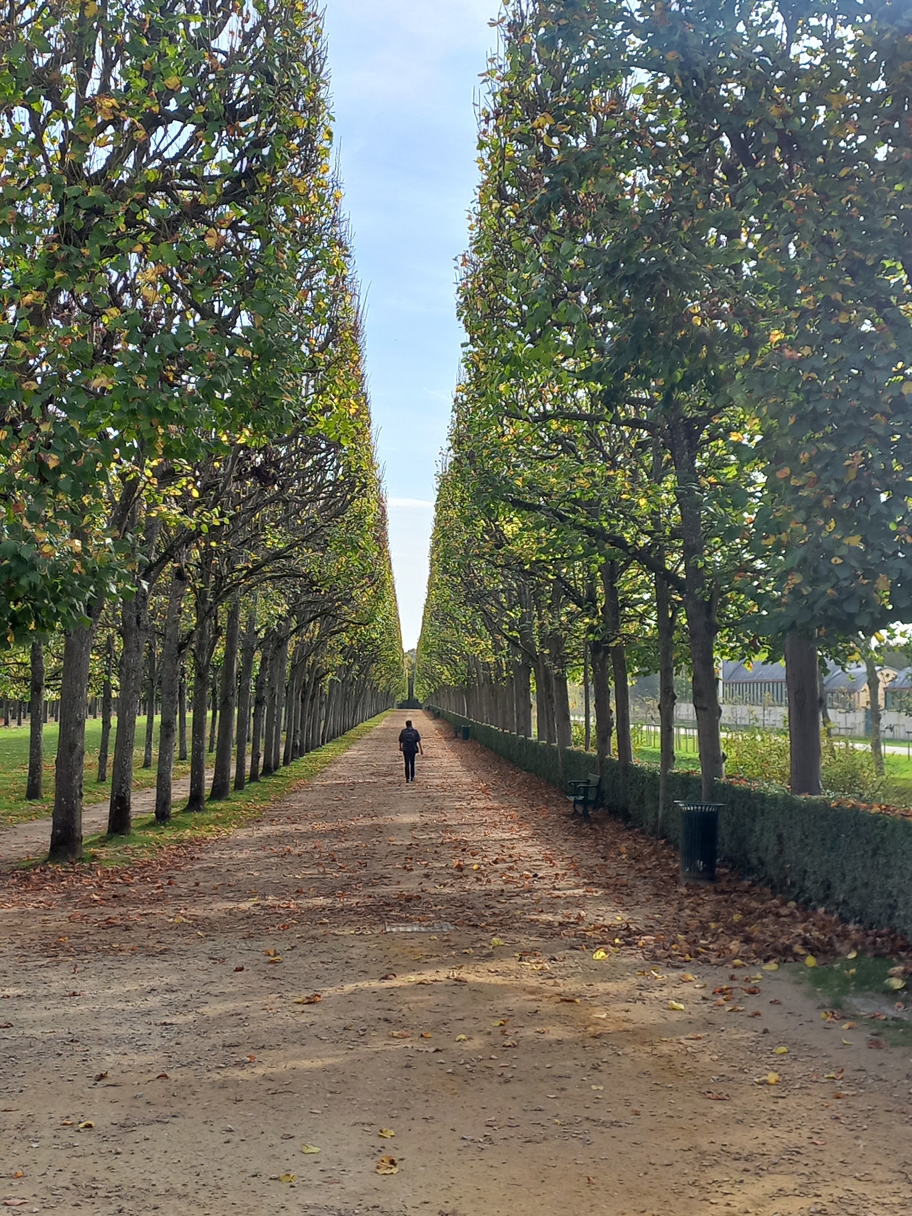 Photo n° 16 de l'avis de Marie.a fait le 29/10/2022 à 17:54