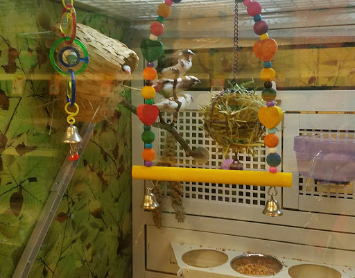 Pet Supply Store «PetSmart», reviews and photos, 1791 Oconee Connector Suite 130, Athens, GA 30606, USA