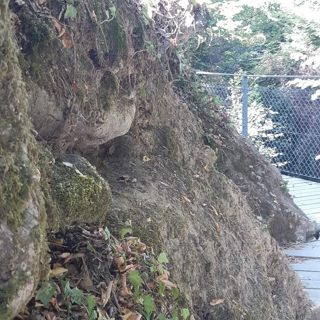 Photo n° 27 de l'avis de Anne.i fait le 13/08/2022 à 16:33