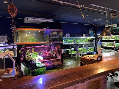 熱帯魚とお食事の店 風の谷