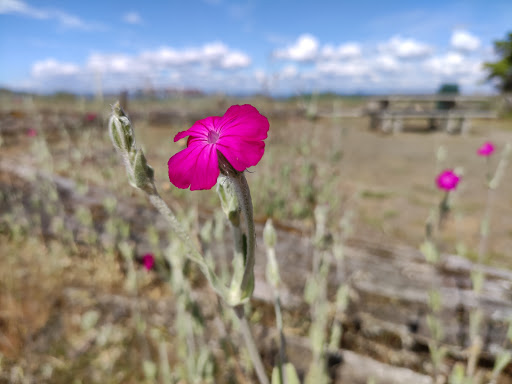Tourist Attraction «Tillicum Village», reviews and photos, Blake Island, Port Orchard, WA 98366, USA