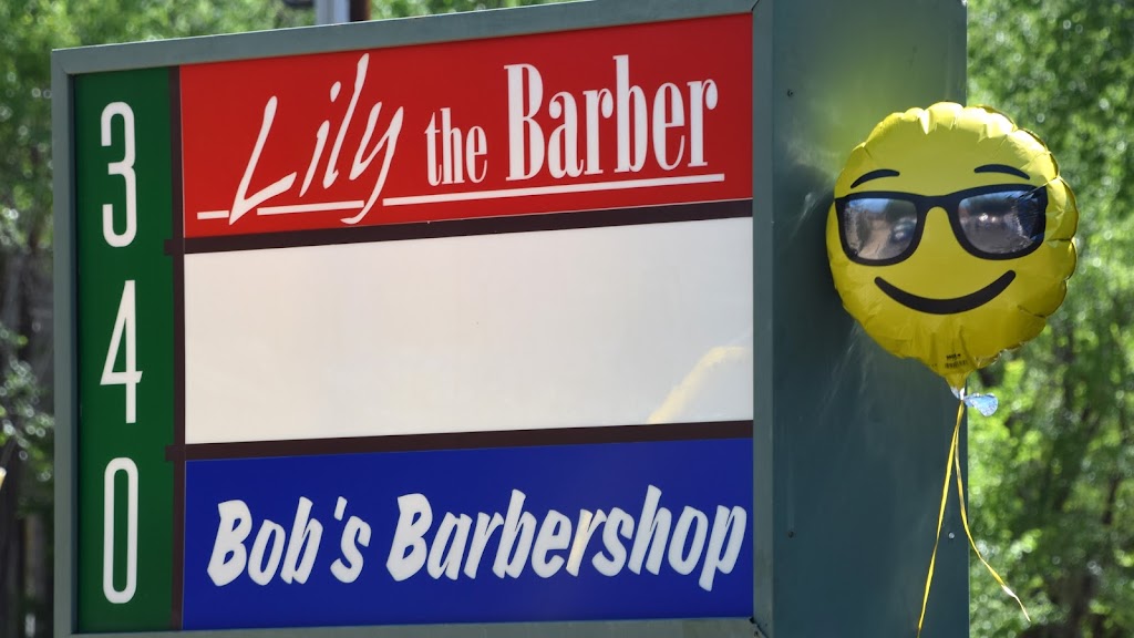 Bob's Barber Shop & Lily the Barber 86301