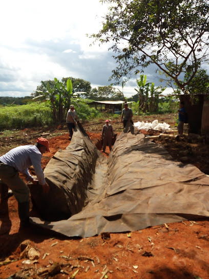 Víveres El Bambú - Bengala, Puerto Gaitán, Meta, Colombia