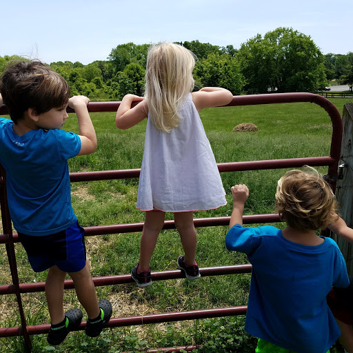 Park «Kinder Farm Park», reviews and photos, 1001 Kinder Farm Park Rd, Millersville, MD 21108, USA