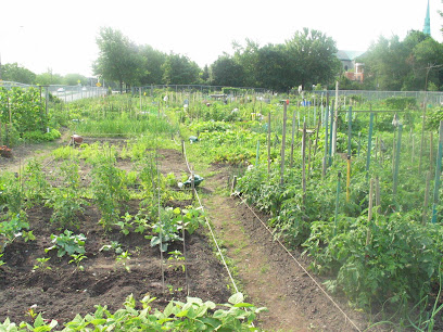 Villeray community garden