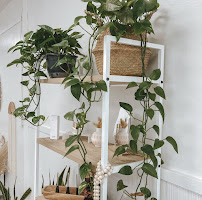 Artistry by Jaz - Photo 5 - Car repair in Merced, CA, Merced