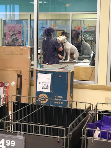 Pet Supply Store «Petco Animal Supplies», reviews and photos, 4820 South Baldwin Road #3B, Orion Township, MI 48359, USA