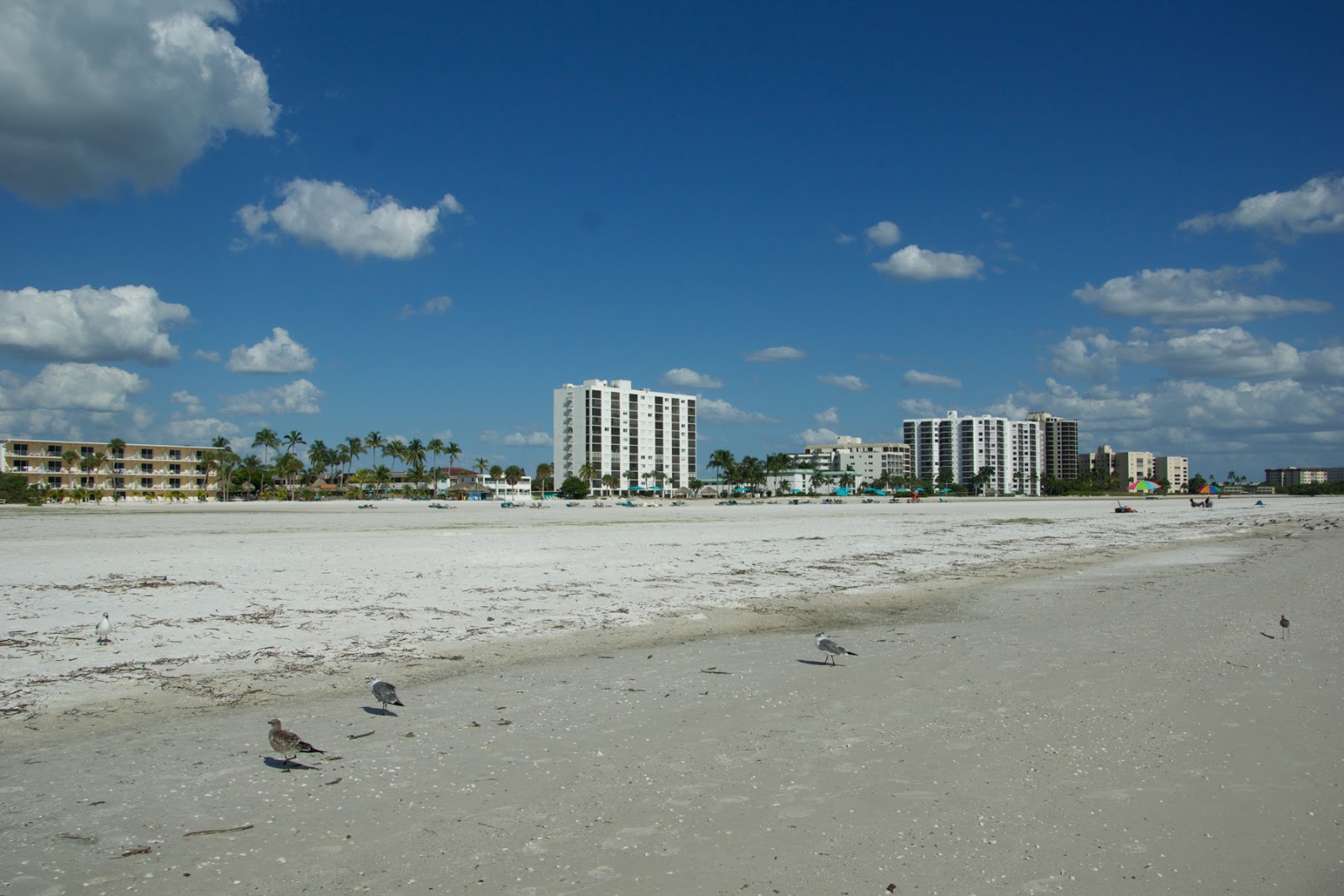 Foto von Carousel Inn on the beach und die siedlung