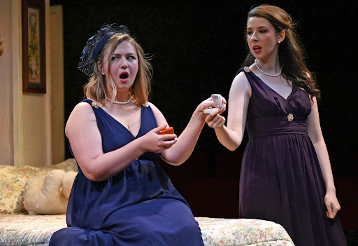 Performing Arts Theater «The Audrey Herman Spotlighters Theatre», reviews and photos, 817 St Paul St, Baltimore, MD 21202, USA