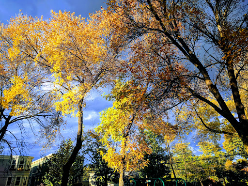 Park «Raymond Park», reviews and photos, Raymond St, Cambridge, MA 02140, USA