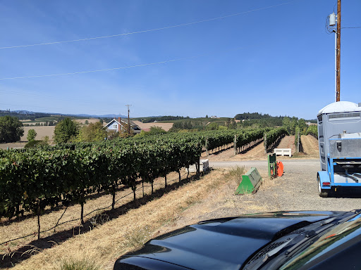 Winery «Kason Vineyards», reviews and photos, 7200 NW Bony Rd, Yamhill, OR 97148, USA