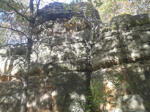 Nature Preserve «Chimney Rock Scientific and Natural Area (SNA)», reviews and photos, Joan Ave, Hastings, MN 55033, USA