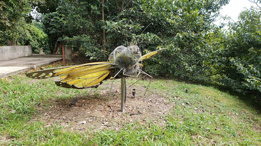 Bosque Urbano Doña Inés Mendoza