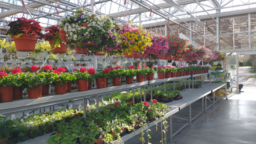 Produce Market «E Draghi & Son Farm Stand», reviews and photos, 86 Main St, South Glastonbury, CT 06073, USA