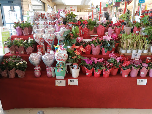 Grocery Store «Stop & Shop», reviews and photos, 11 Glen Ridge Rd, Greenwich, CT 06831, USA