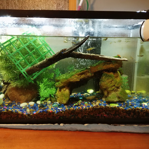 Pet Supply Store «PetSmart», reviews and photos, 8014 Old Carriage Ct, Shakopee, MN 55379, USA