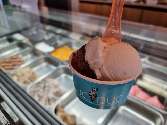 LucDuc Italian Ice-cream - Sorveteria