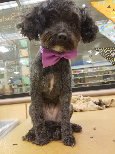 Pet Supply Store «PetSmart», reviews and photos, 1300 John F Kennedy Rd, Dubuque, IA 52002, USA