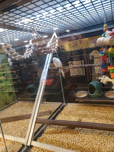 Pet Supply Store «PetSmart», reviews and photos, 601 Centerview Blvd, Kissimmee, FL 34741, USA
