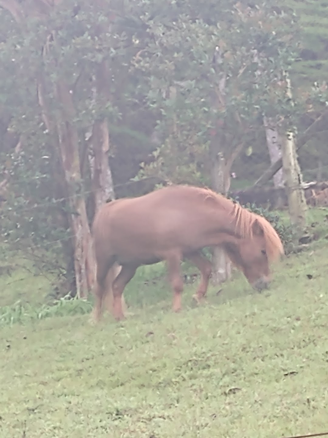 Quebrada El Vergel