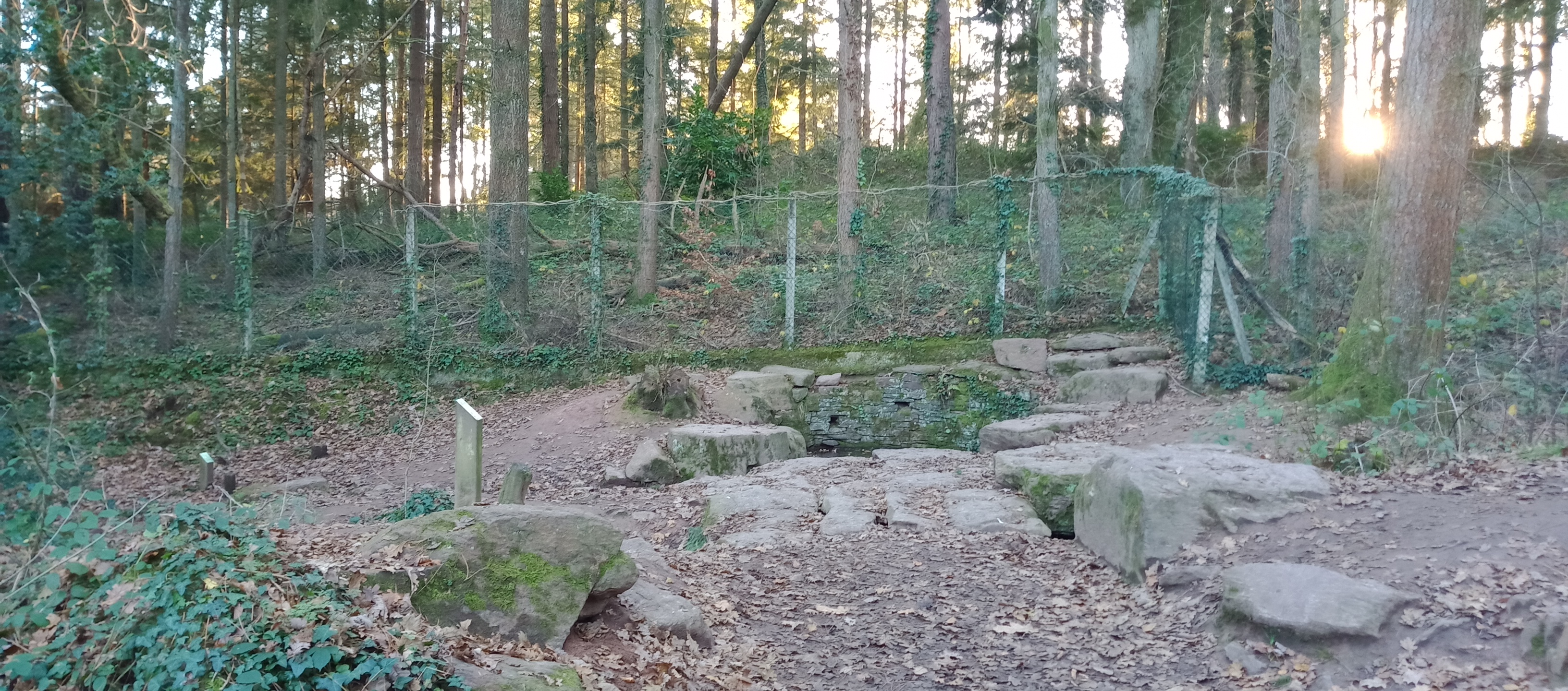 Photo n° 5 de l'avis de Thierry.e fait le 19/12/2021 à 15:02