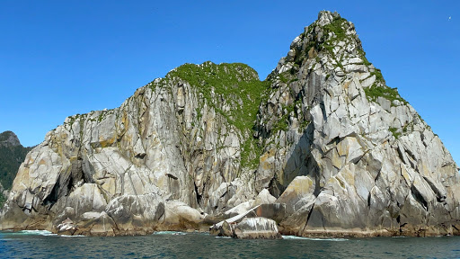 National Park «Kenai Fjords National Park», reviews and photos