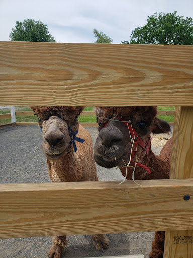 Gift Shop «Hidden Spring Lavender Farm and Gift Shoppe», reviews and photos, 890 Belle Mead-Blawenburg Rd, Skillman, NJ 08558, USA