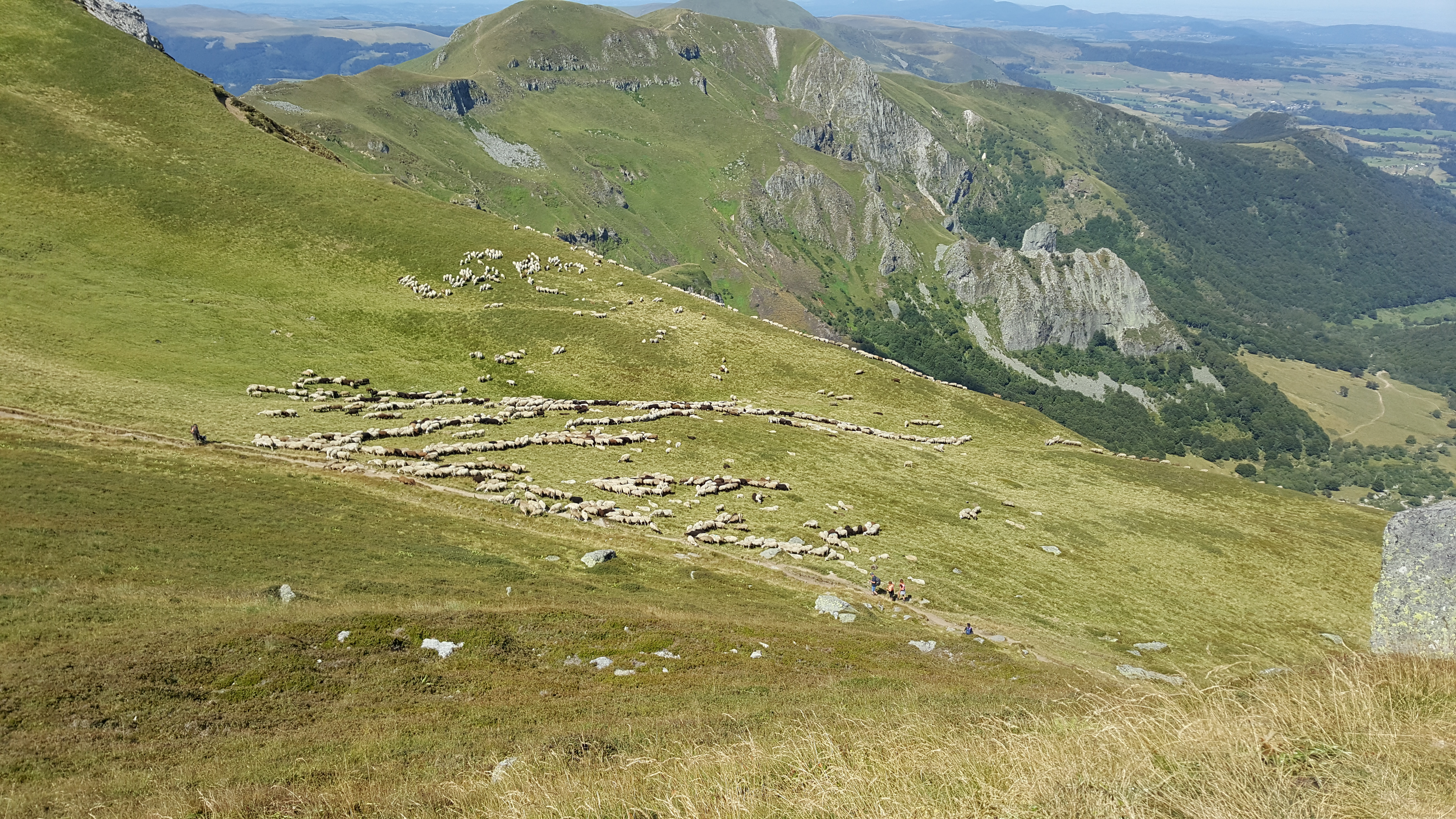 Photo n° 11 de l'avis de Dominique.a fait le 19/08/2018 à 15:04