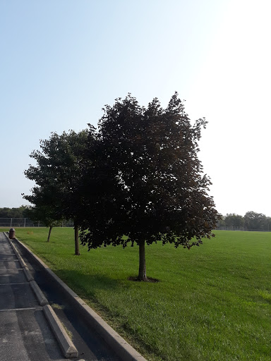 Park «Heritage Oak Park», reviews and photos, 4601 US-42, Mason, OH 45040, USA