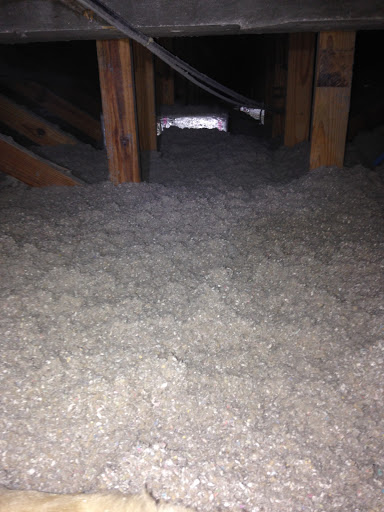 Pest Control Service «Critter Control of Miami», reviews and photos