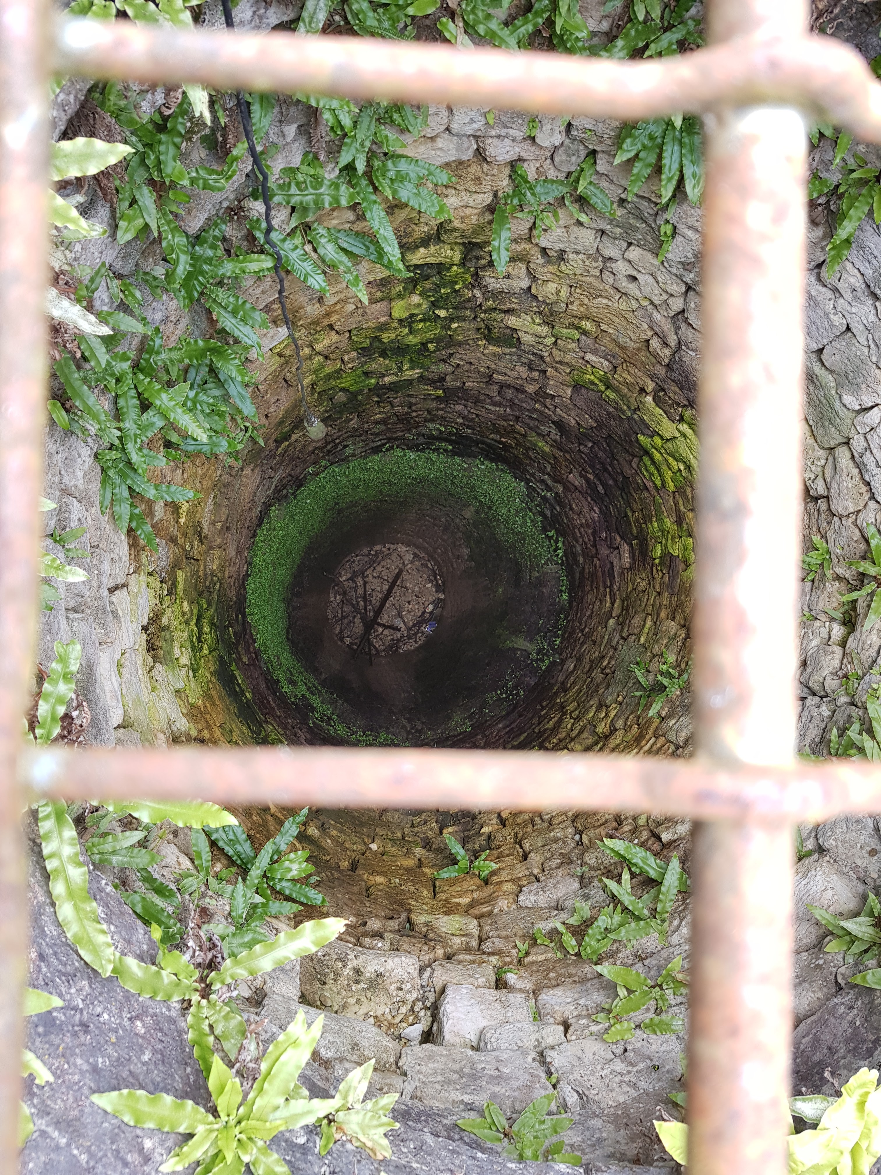 Photo n° 1 de l'avis de Bernard.t fait le 15/07/2020 à 13:31