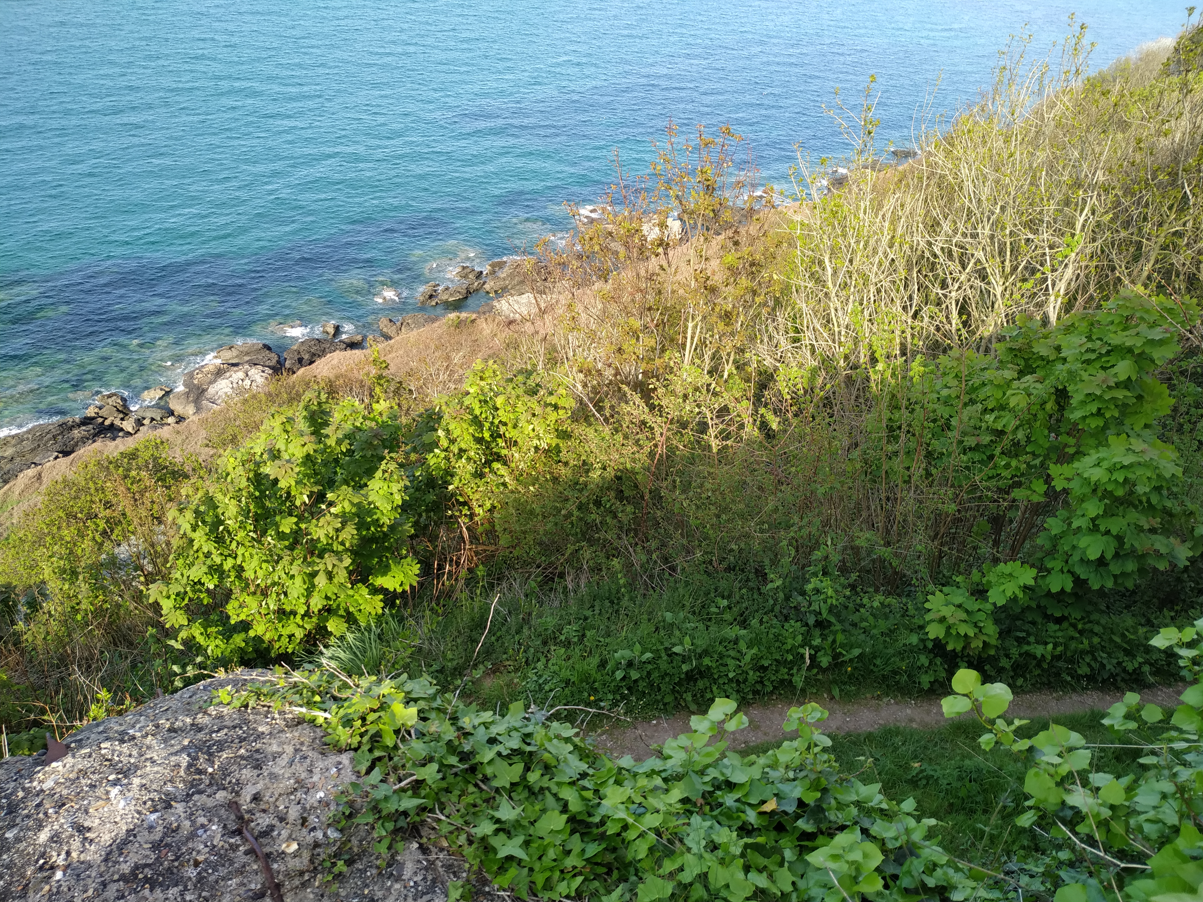 Photo n° 3 de l'avis de Ayliess. fait le 29/04/2019 à 16:42