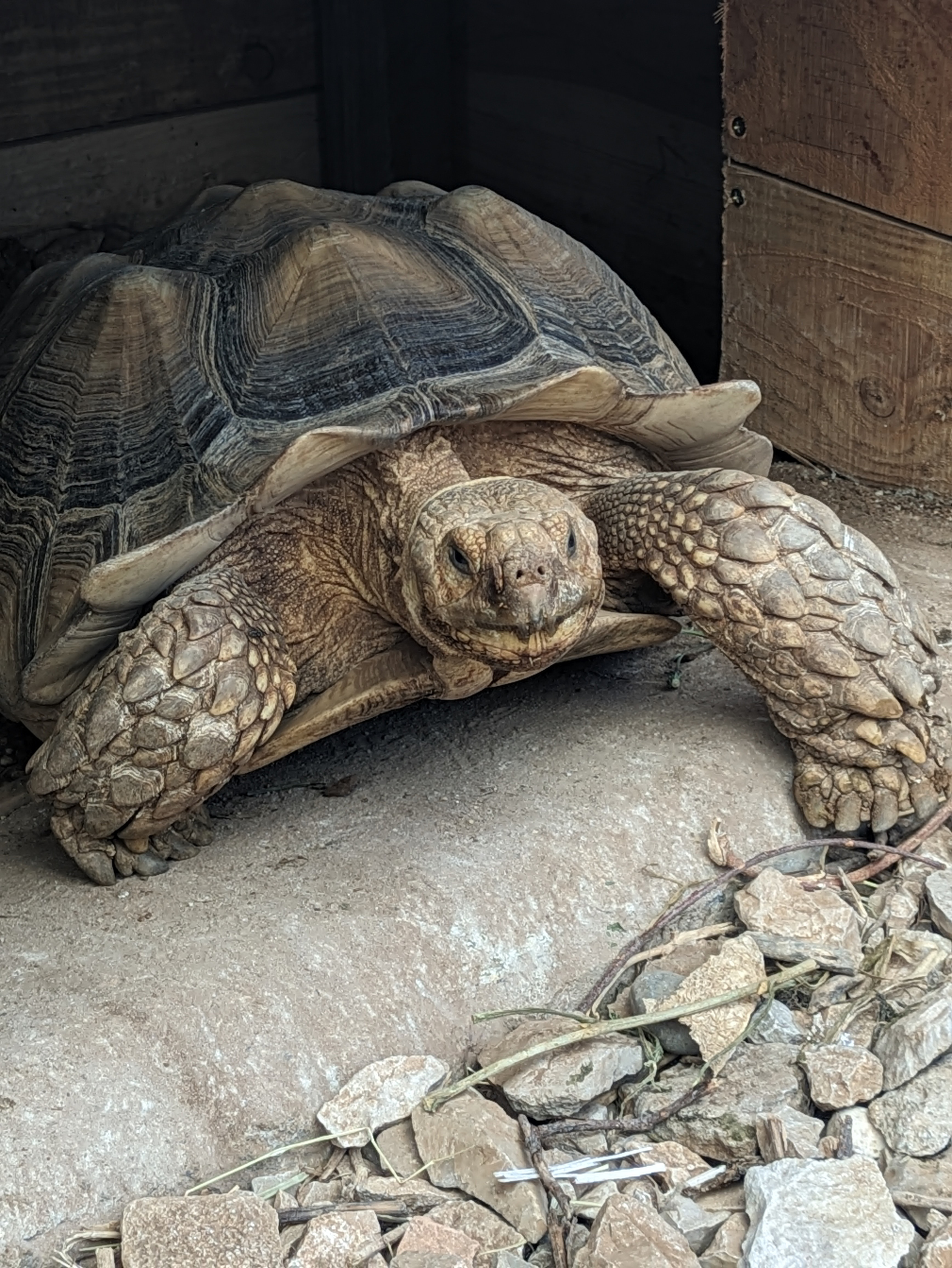 Photo n° 3 de l'avis de elodie.e fait le 12/08/2023 à 15:47