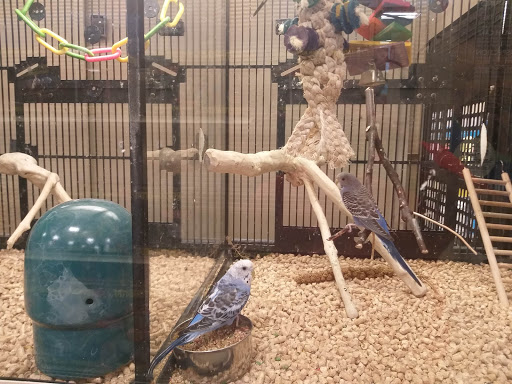 Pet Supply Store «PetSmart», reviews and photos, 7850 W Commercial Blvd, Lauderhill, FL 33351, USA