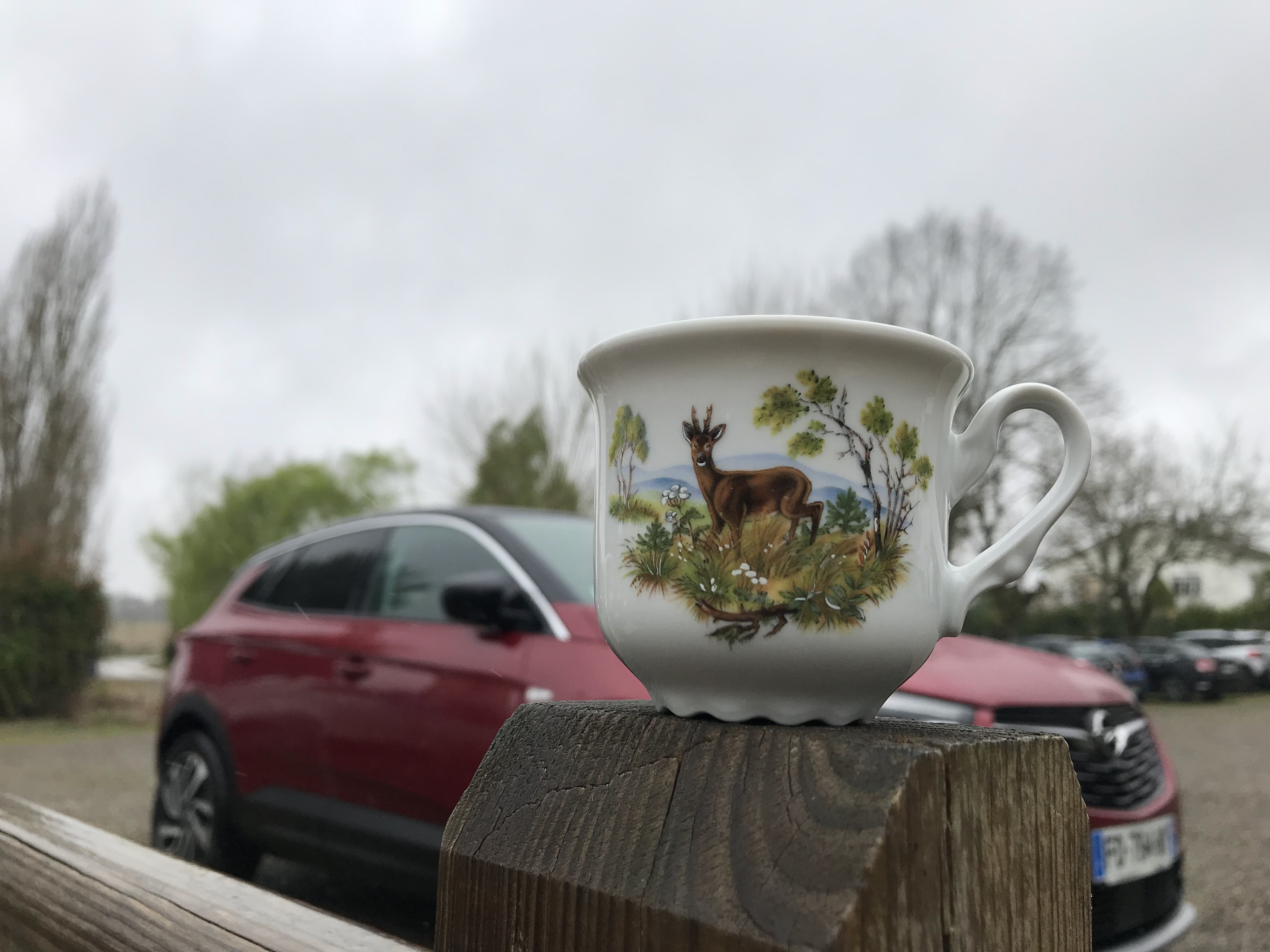 Photo n° 5 de l'avis de Roman.o fait le 19/03/2019 à 13:37