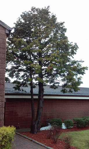 Church «The Salvation Army Corps Community Center», reviews and photos, 66 Church St, Freeport, NY 11520, USA