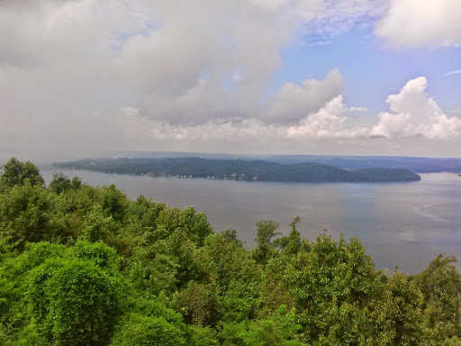 Department Store «Walmart Supercenter», reviews and photos, 1501 Skyland Blvd E, Tuscaloosa, AL 35405, USA